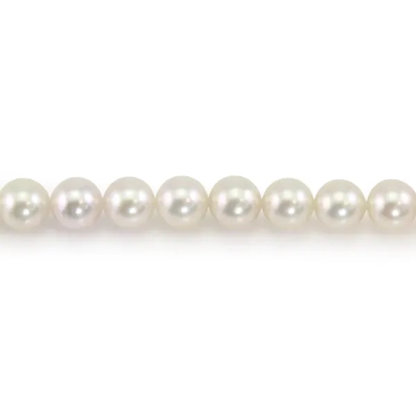 Japanese AKOYA cultured pearls, round, 7-8mm x 40cm A+