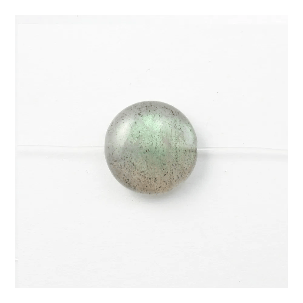 Labradorite Ronde Plate 6mm x 8pcs