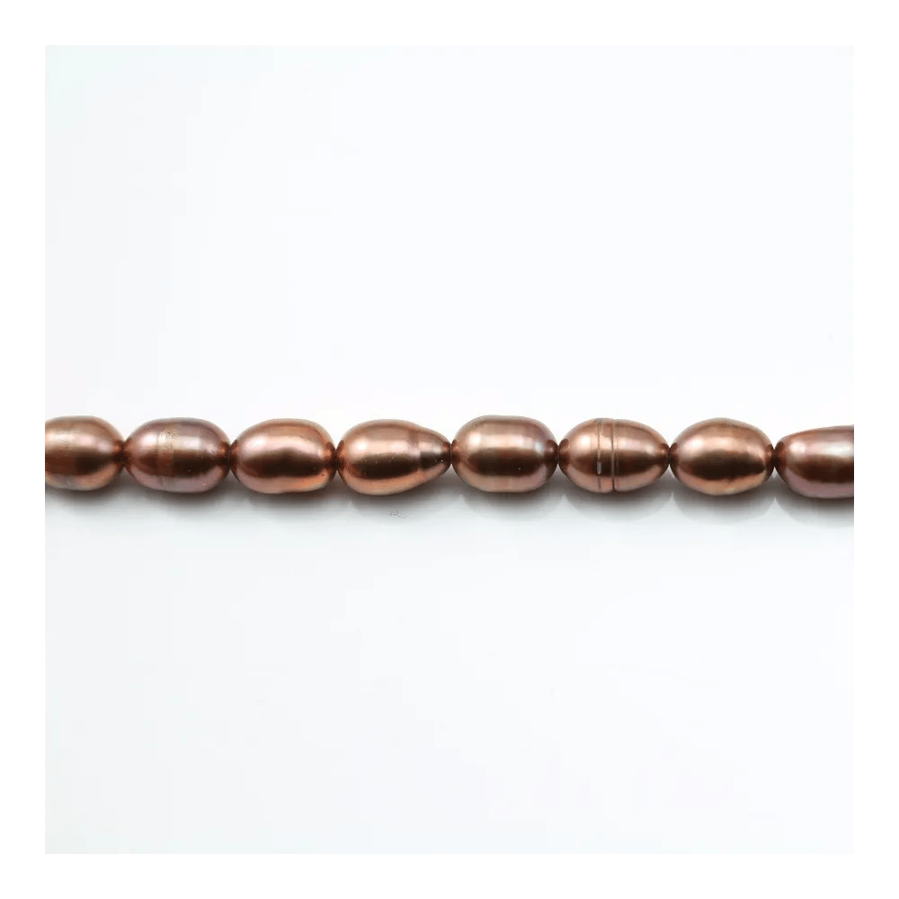 Perles de culture d'eau douce, marron, olive, 5-5.5mm x 10pcs