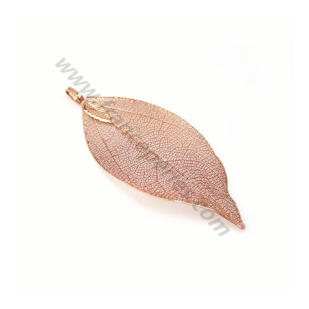Véritable feuille d'arbre naturelle