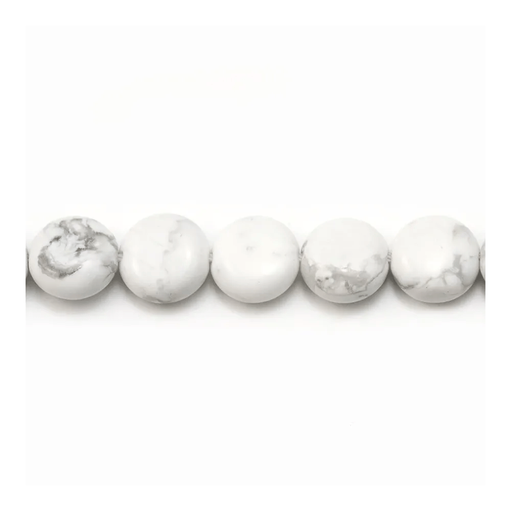 Howlite, de forme ronde et plate, 10mm x 6pcs