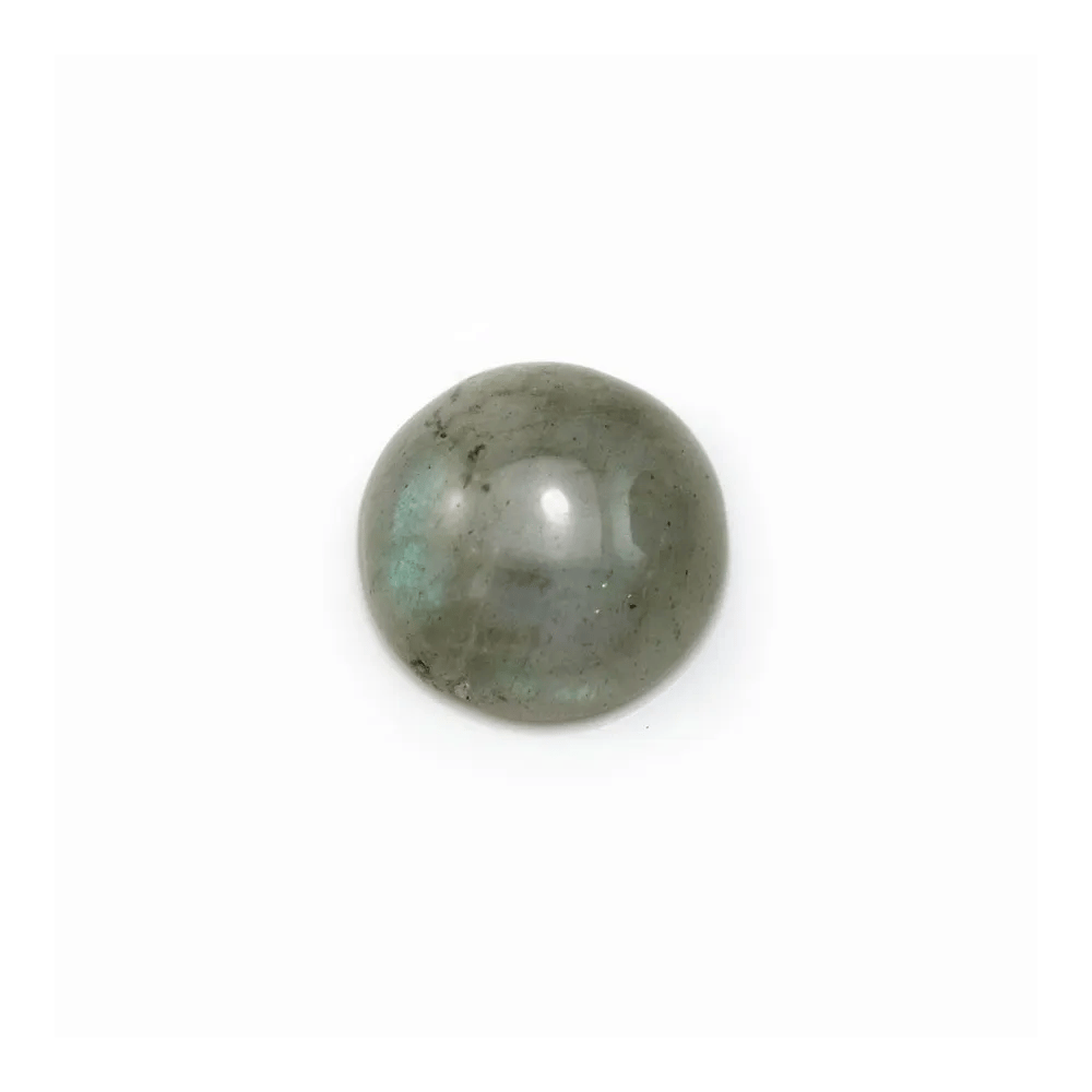 Cabochon labradorite rond 12mm x 2pcs