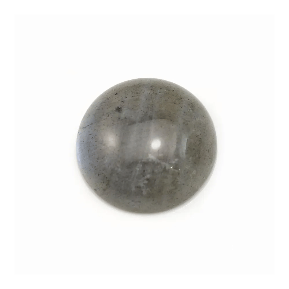 Cabochon labradorite rond 16mm x 2pcs