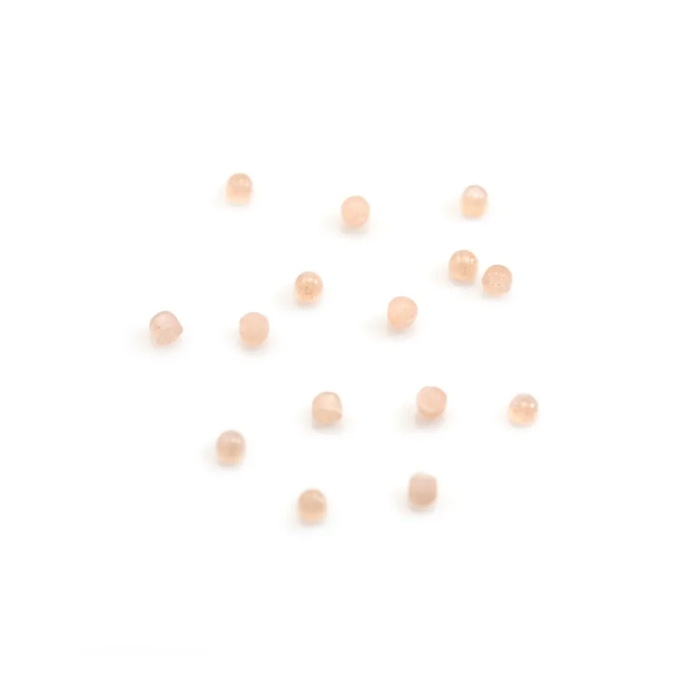 Cabochon di Pietra di Luna arancione, di forma rotonda, 2mm x 2pcs