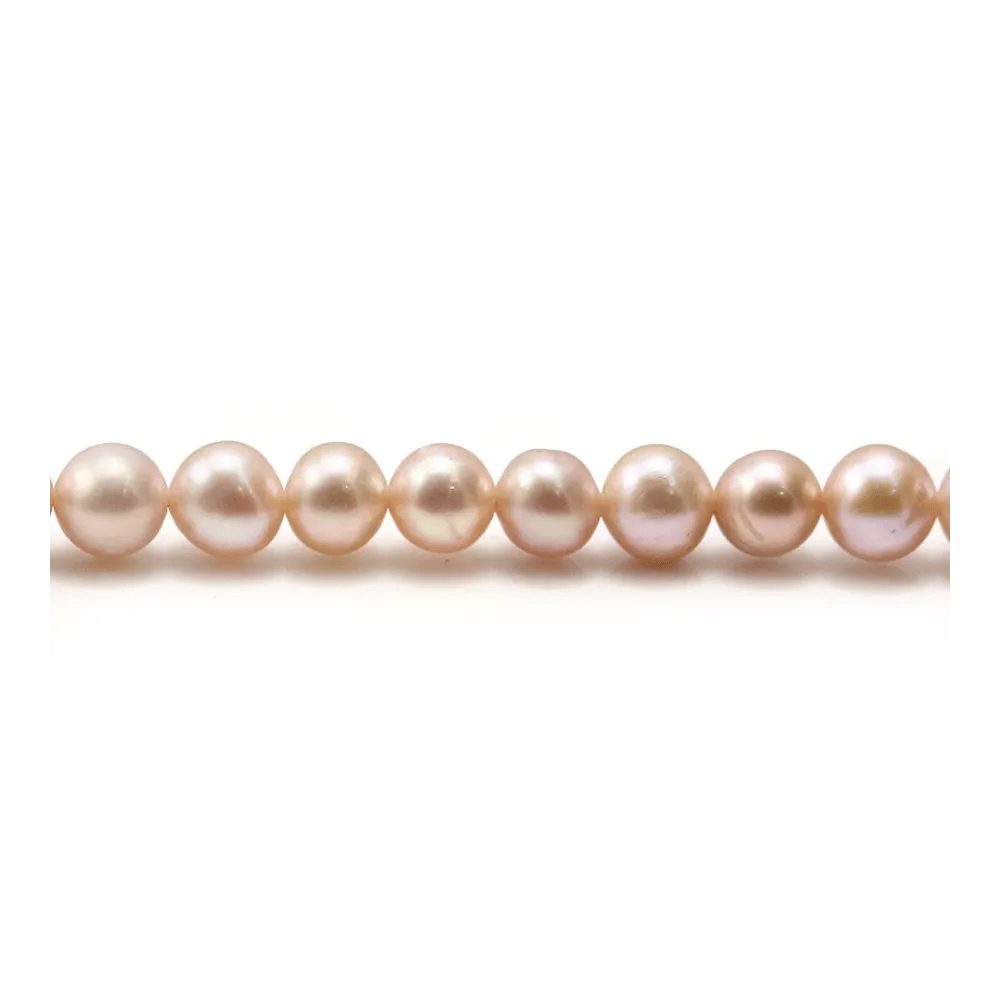Perles d'eau douce mauve rondes  6mm x 6pcs