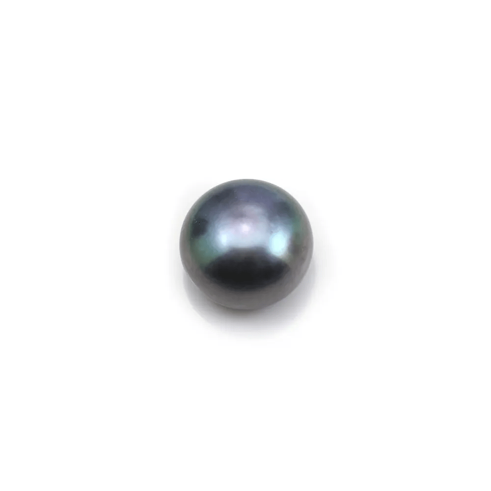 Perles de culture d'eau douce, semi-percée, bleu foncé, bouton, 9-9.5mm x 4pcs