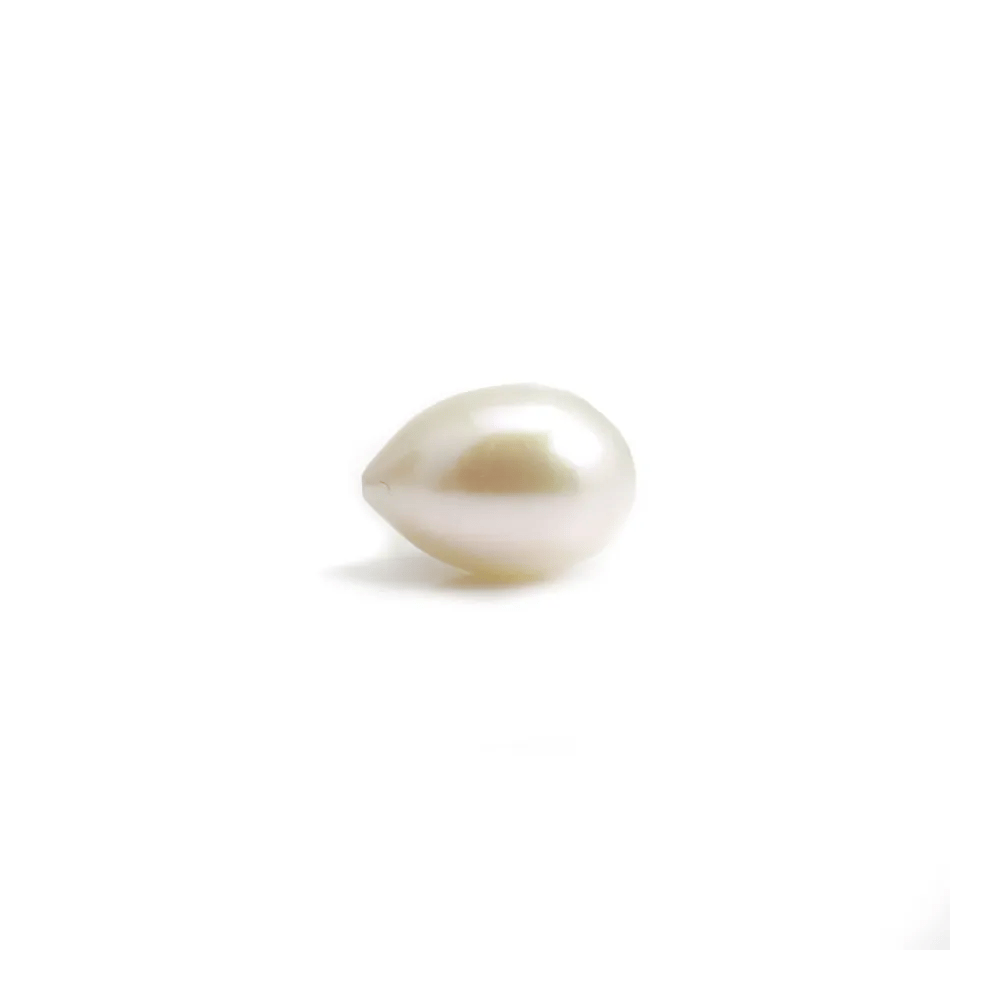 Perle de culture d'eau douce, semi-percée, blanche, goutte, 10-11mm x 1pc