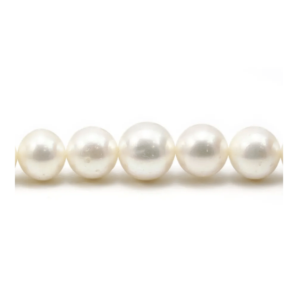 Perle d'eau douce blanche, de forme ronde, et de taille 13-15mm x 40cm