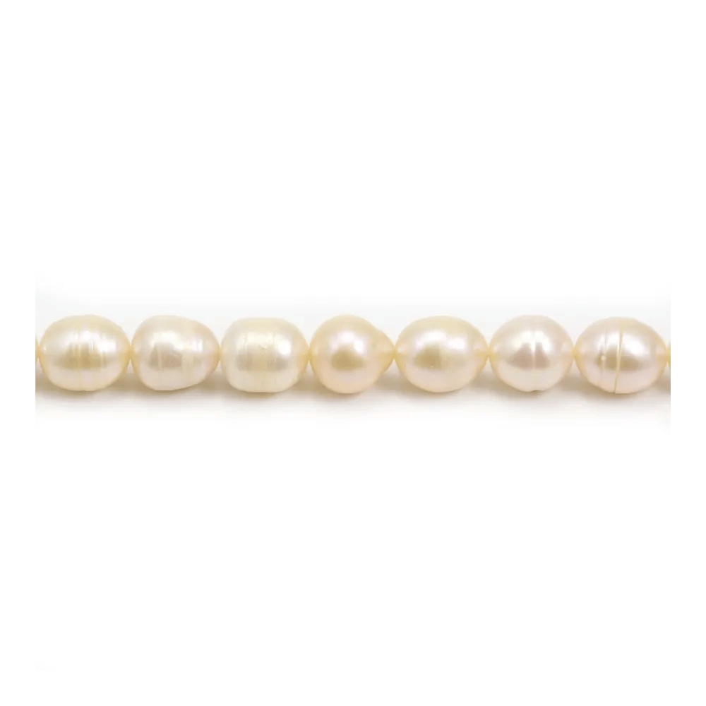 Perles de culture d'eau douce, saumon, irrégulière, 10x12mm x 2pcs