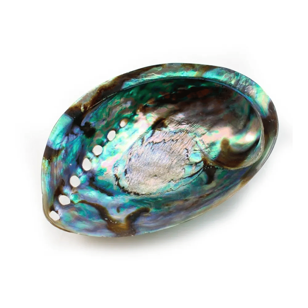 Coquille nacre abalone