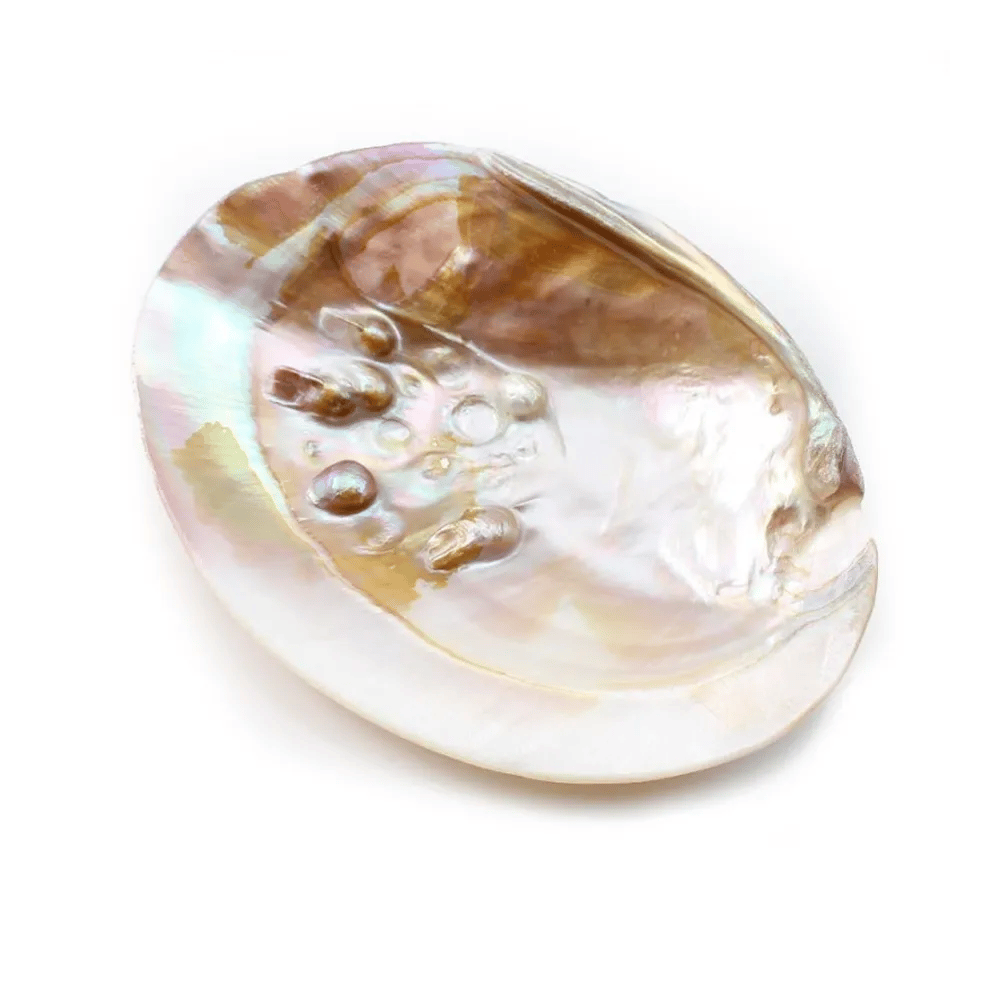 Coquillage avec perles incluses