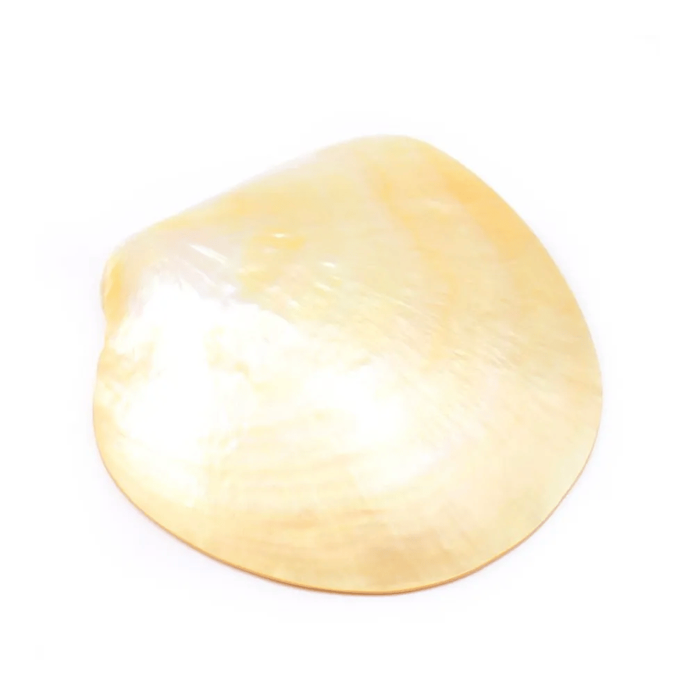 Yellow Mother-of-pearl 