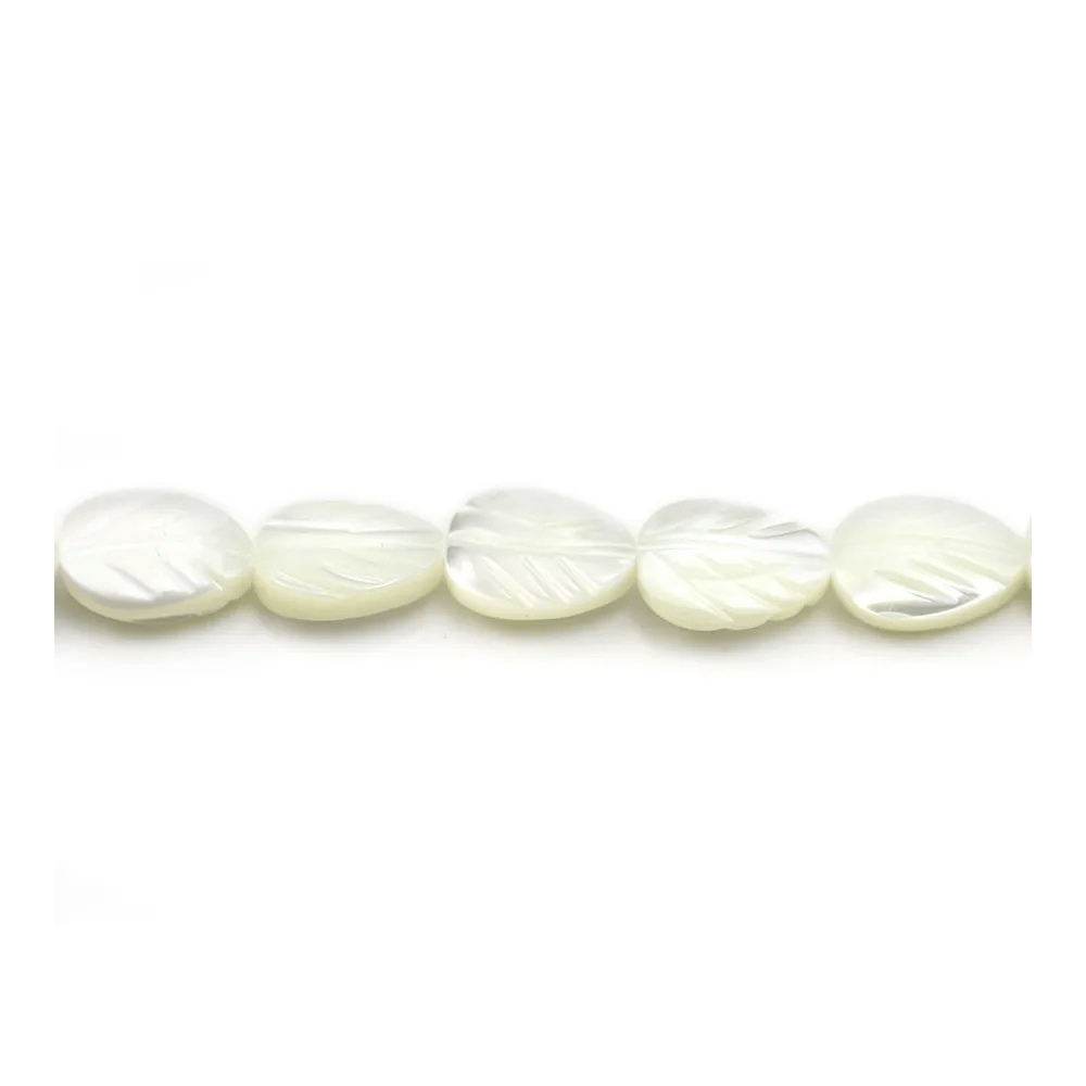 Nacre blanche feuille 6x9mm x 10pcs