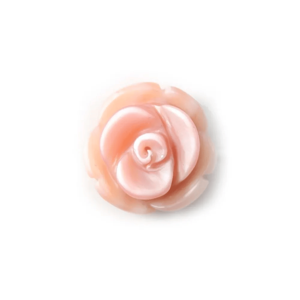 Rose Shell Flower Rose 8mm x 15pcs