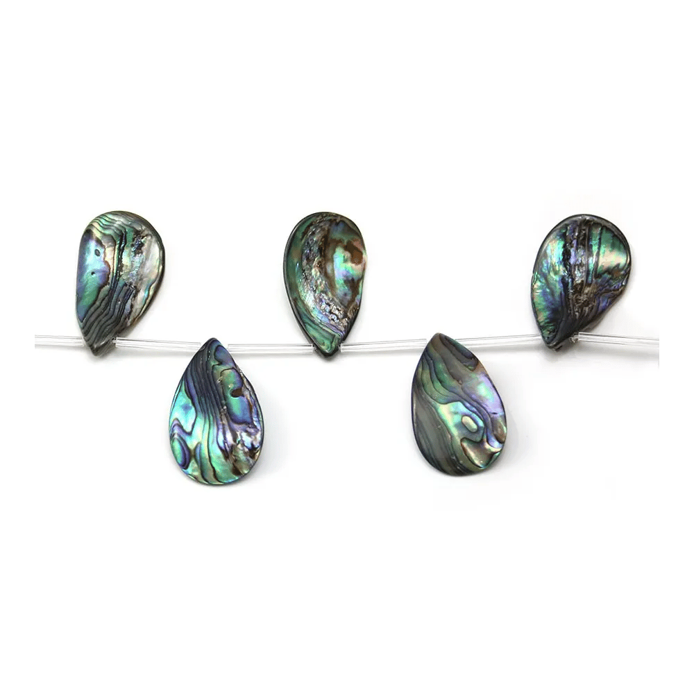 Nacre abalone en forme divers 34-31x19-20mm x 25cm
