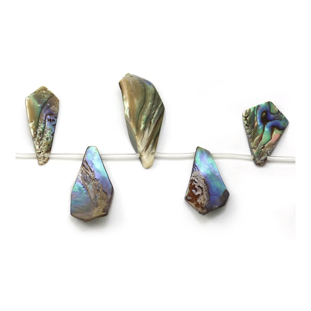 Nacre abalone en forme divers 39x25 - 11x15mm x 40cm
