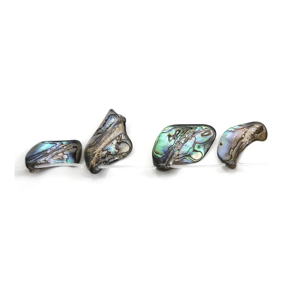 Abalone mother-of-pearl of various shapes and sizes x 39cm