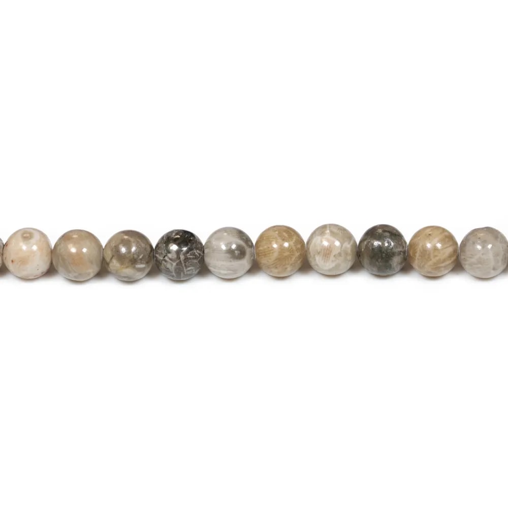 Corail fossilisé rond 6mm x 10pcs