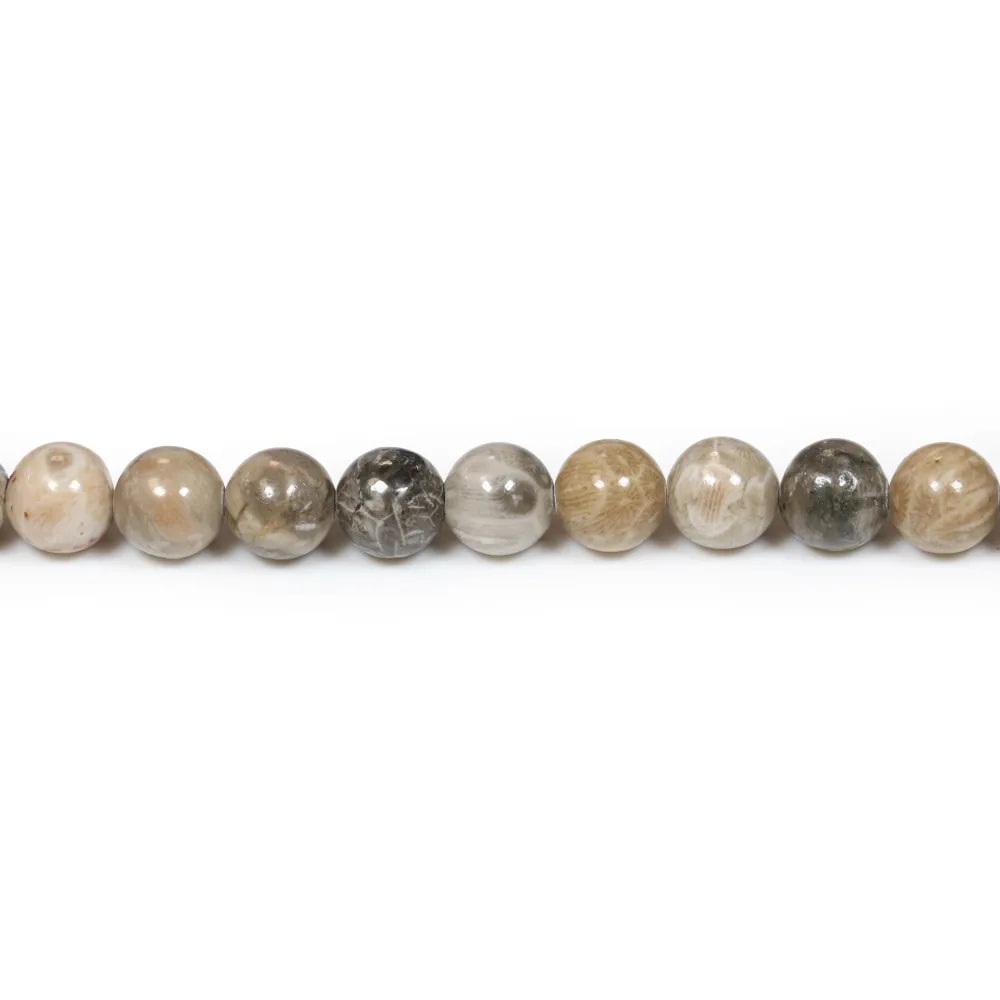Fossil coral ball 8mm x 10pcs