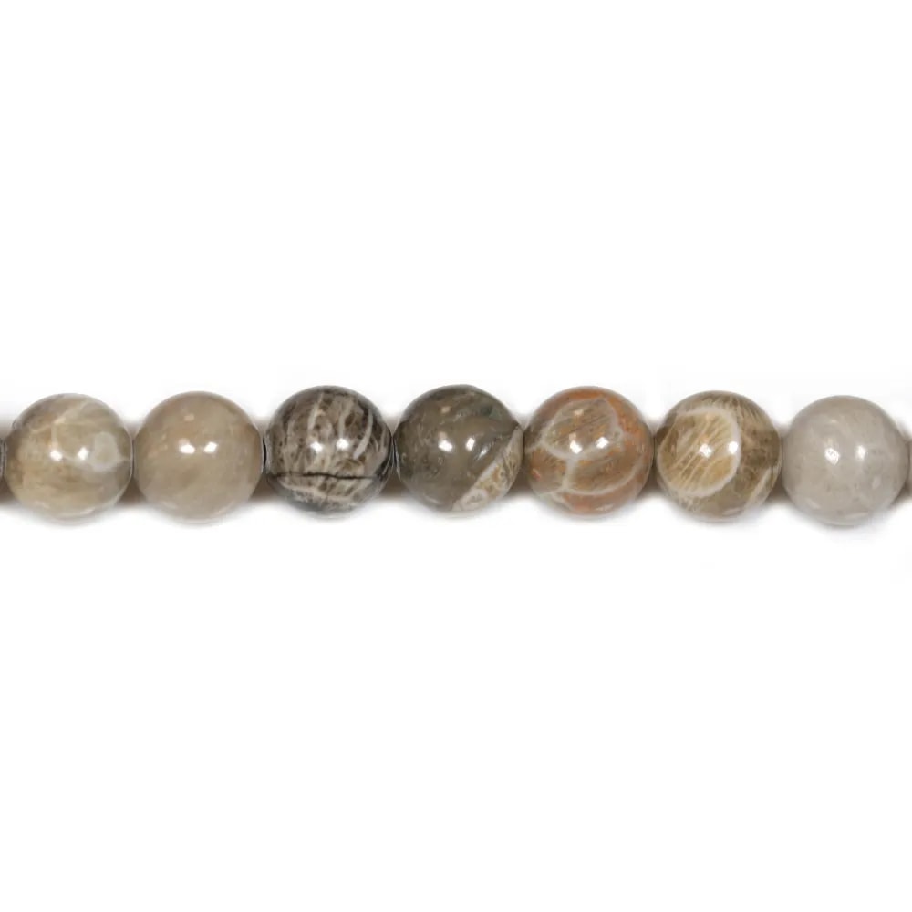 Corail fossilisé rond 10mm x 6pcs