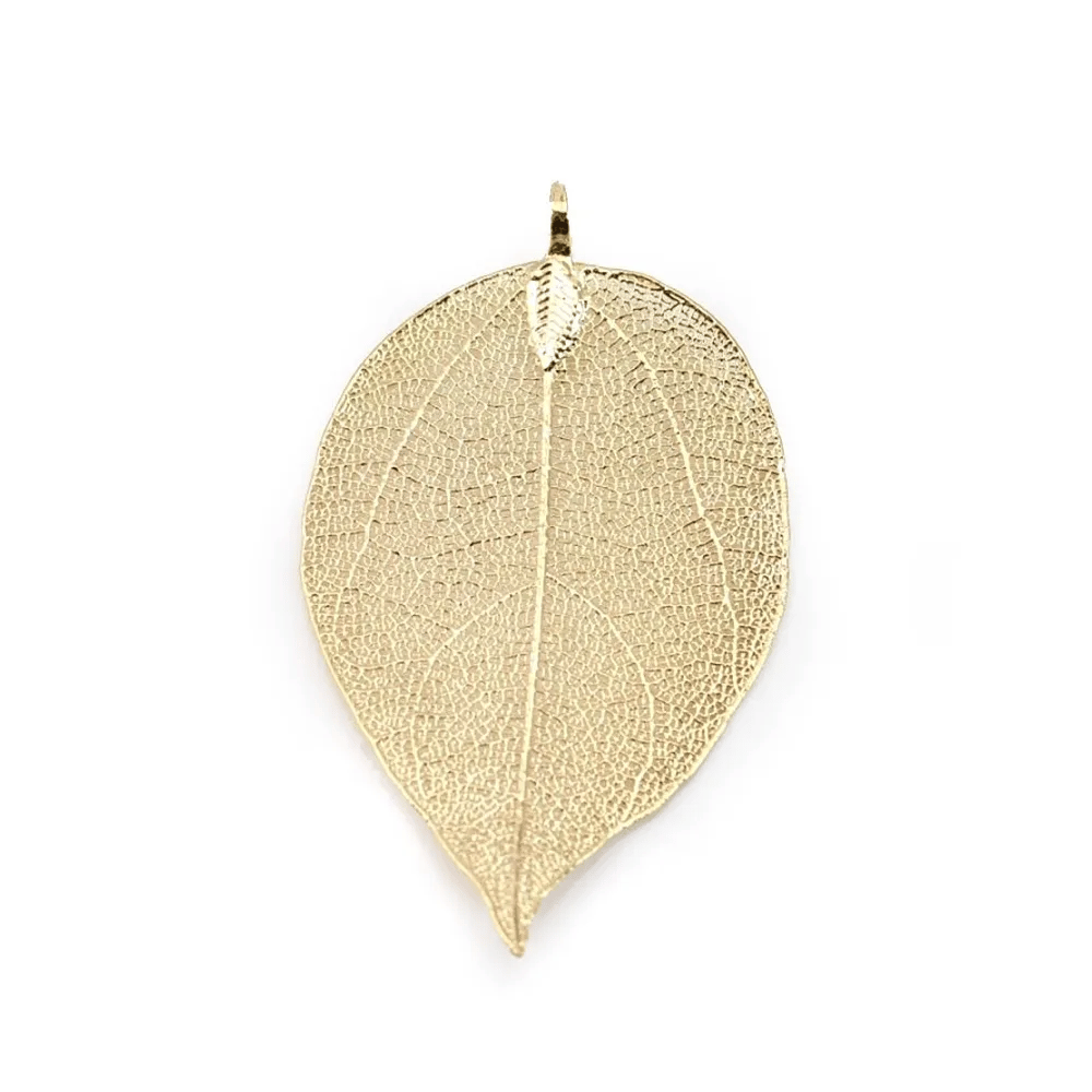 Véritable feuille d'arbre naturelle dorée sur laiton 34-45 x 65-85mm x 1pc