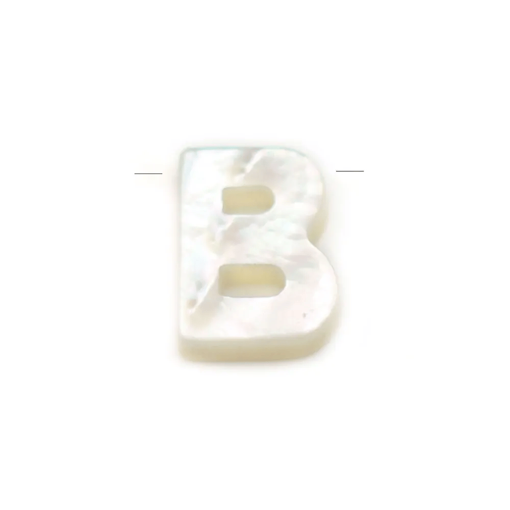 Nacre blanche en forme de fleurs sur fil 6mm x 40cm (15pcs)