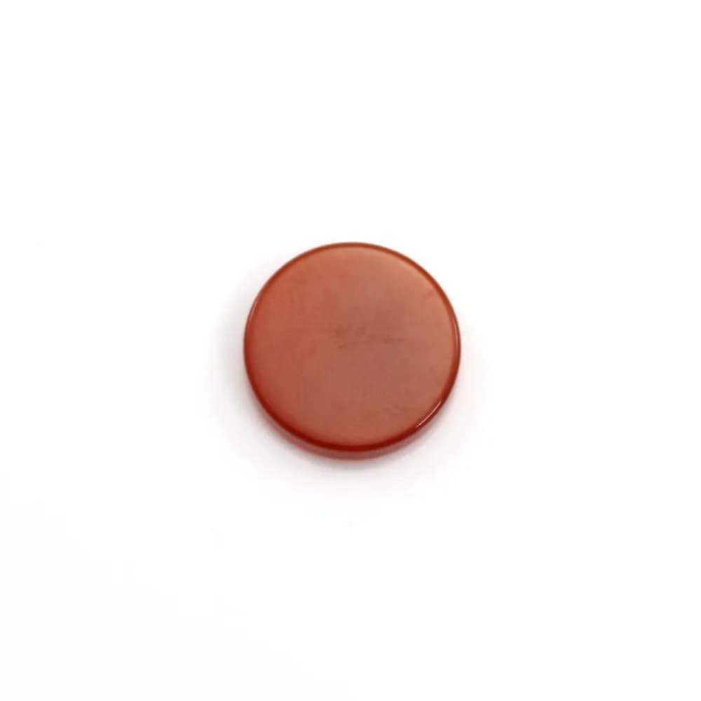 Cabochon cornaline, rond plat 10mm x 2pcs