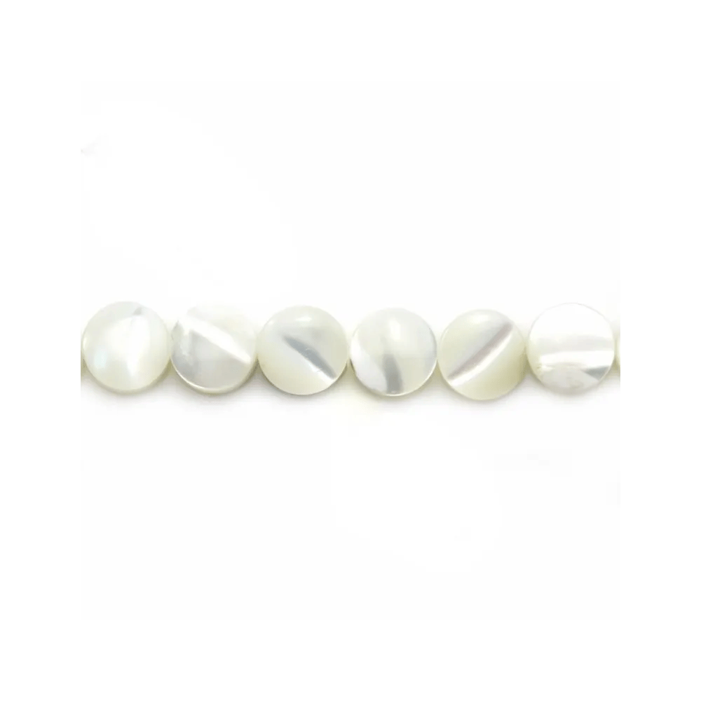 Nacre blanche en rond plat 6mm x 12 pcs
