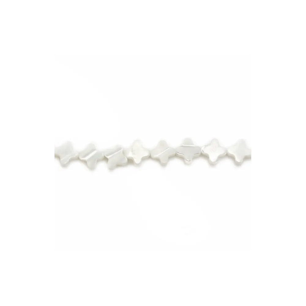 White shell clover 6mm x 40cm(67pcs)