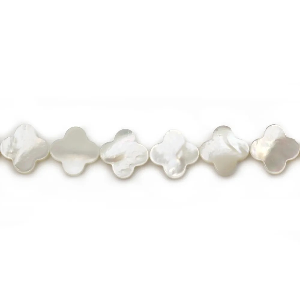 Nacre blanche en forme de trèfle sur fil 13mm x 40cm