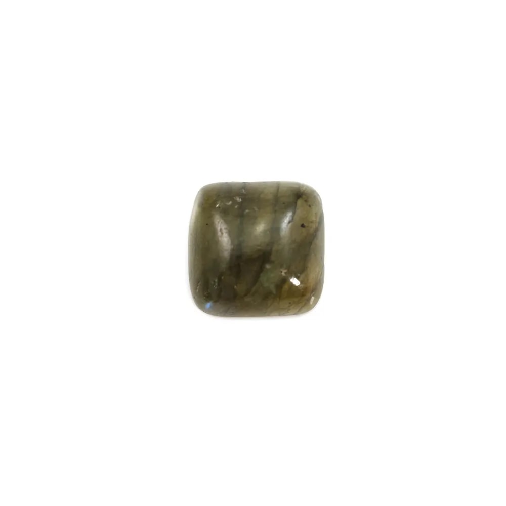 Cabochon labradorite, carré 10mm x 1pc