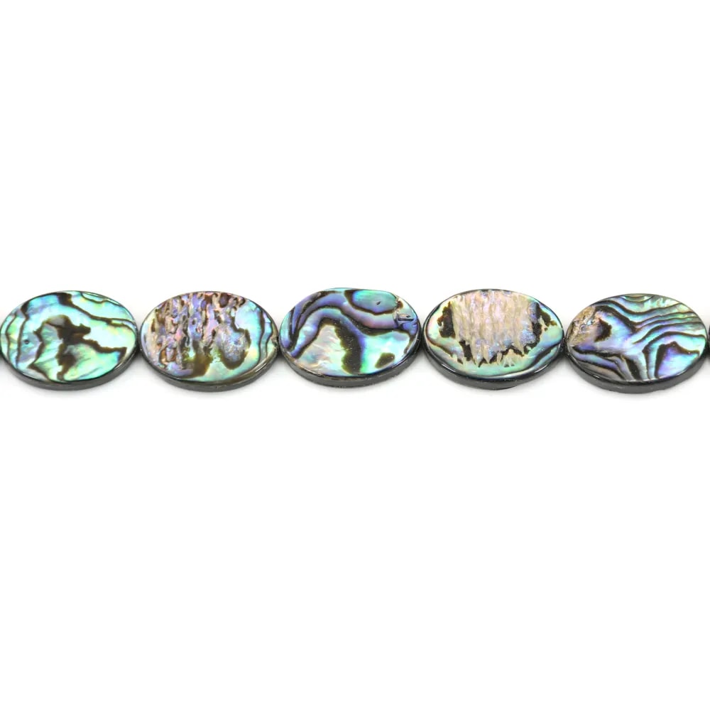 Nacre d'ormeau en oval sur fil 13x18mm x 40cm
