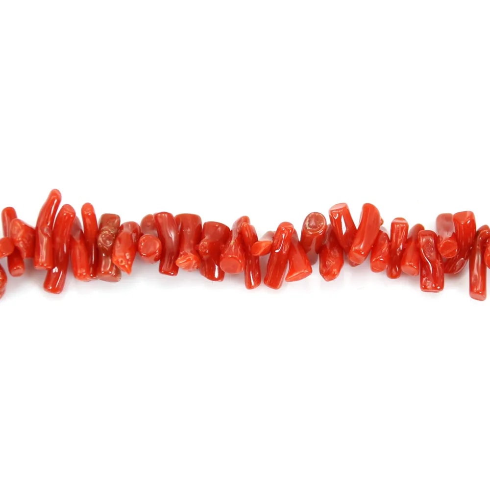 Rote Koralle Natur Barock Tube x 50cm