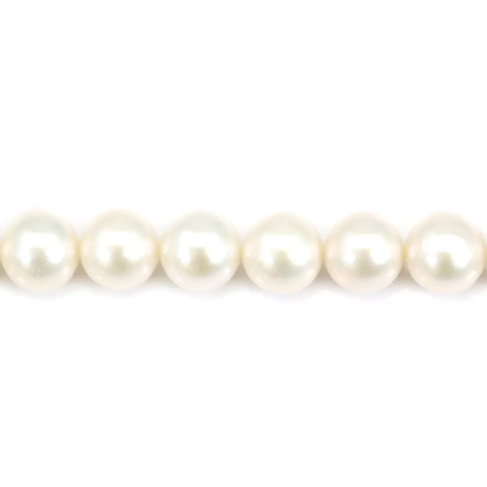 Perles d'eau Douce Blanc rond  10-11mm  AAA x 40cm