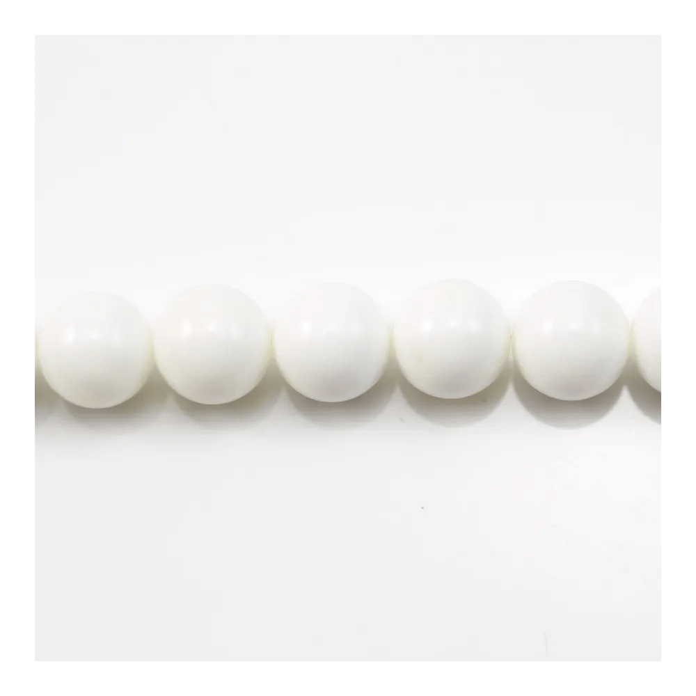 Clam Round 6mm x 20 pcs