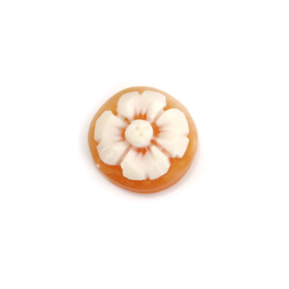 Cabochon Cameo Conque Karneol rund Blume 10mm x 1St