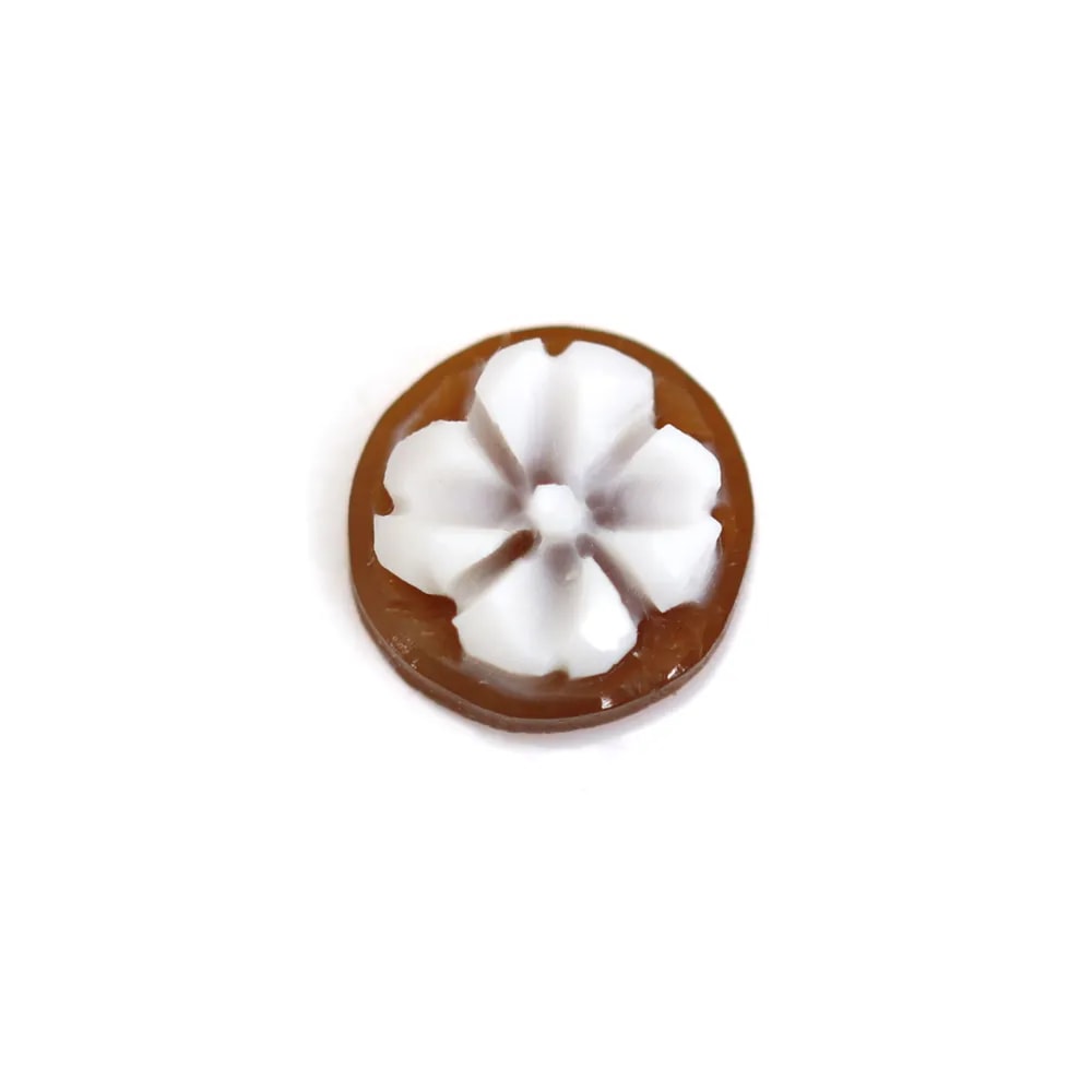 Cabochon Cameo Conch sardoine round flower 10mm x 1pc