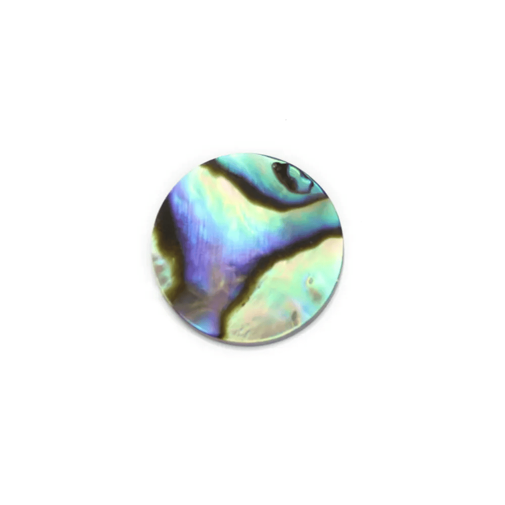Cabochon Abalone rond plat 12mm x 1pc