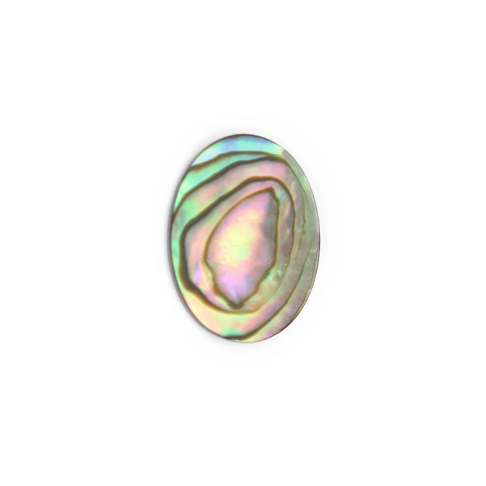 Cabochon Abalone oval flach 13x18mm x 1 Stück