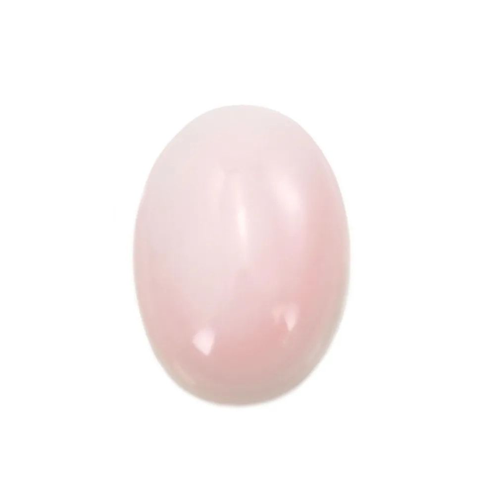 Oval pink Lambi shell cabochon 13x18mm x 1pc