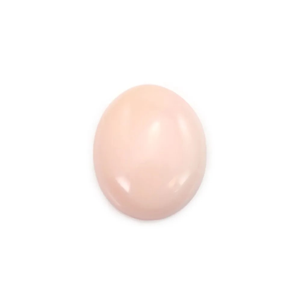 Oval pink Lambi shell cabochon 10x12mm x 1pc