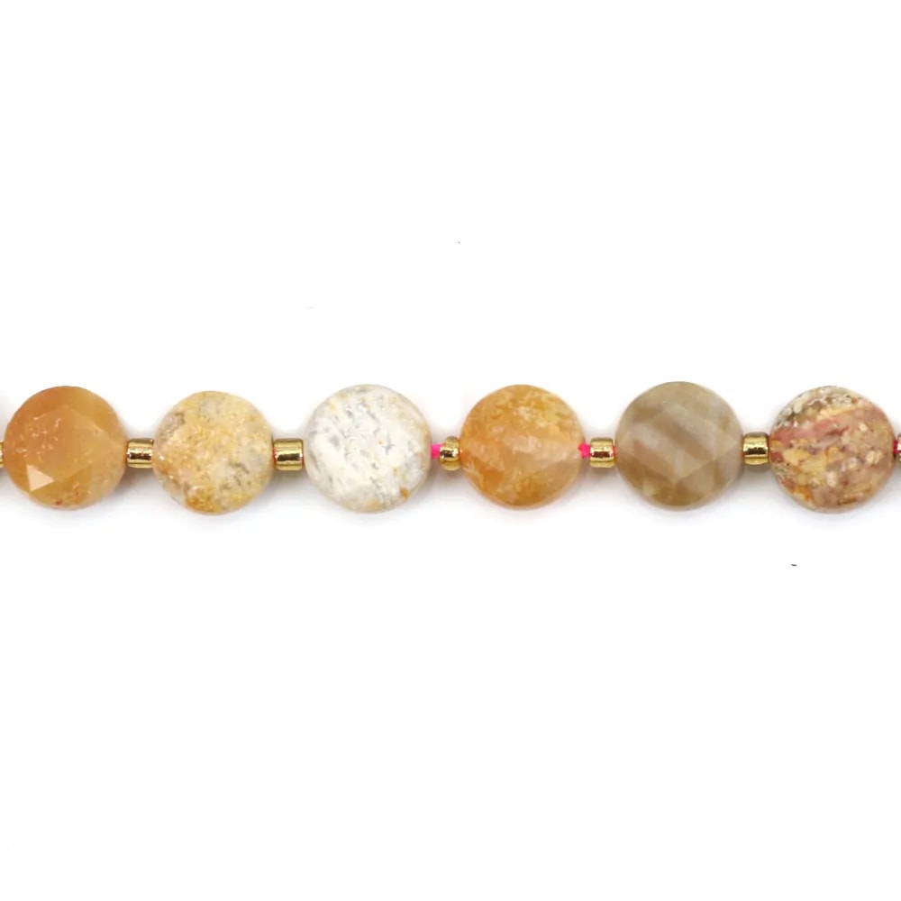 Round flat faceted fossilized coral 8mm x 38cm
