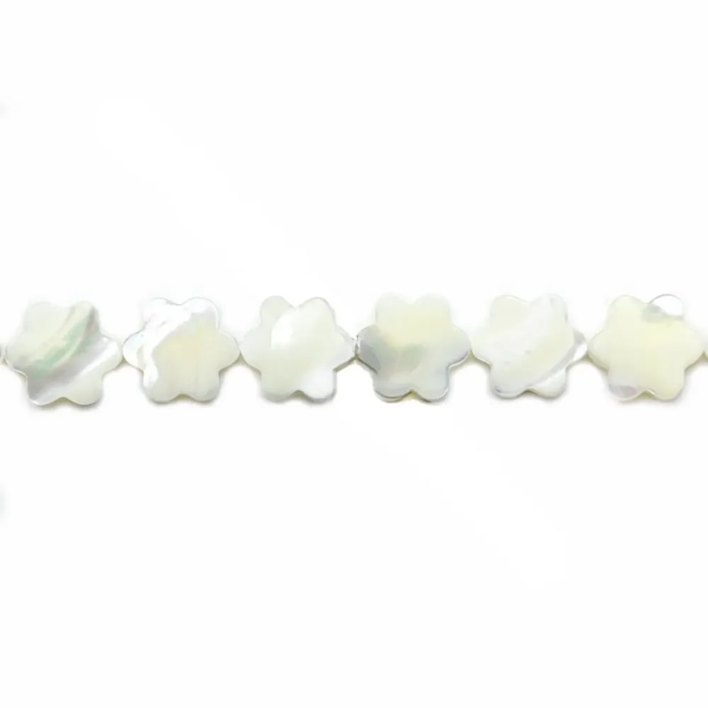 Nácar branco flor com 6 pétalas 12mm x 40cm