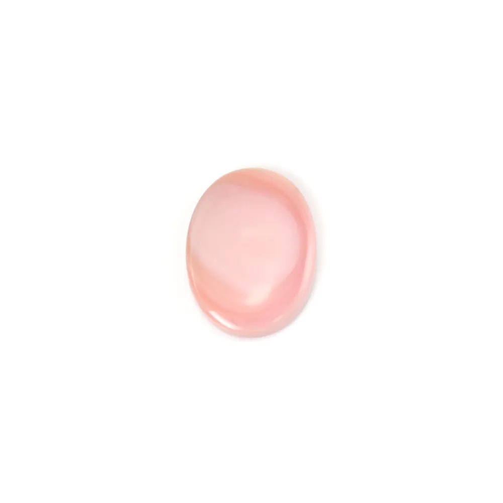 Cabochão Concha Lambi | Componente Joias Feitas à Mão