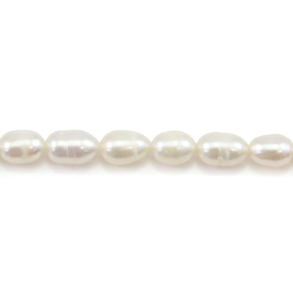 Perle coltivate d'acqua dolce, bianche, oliva, 5-6mm x 34cm