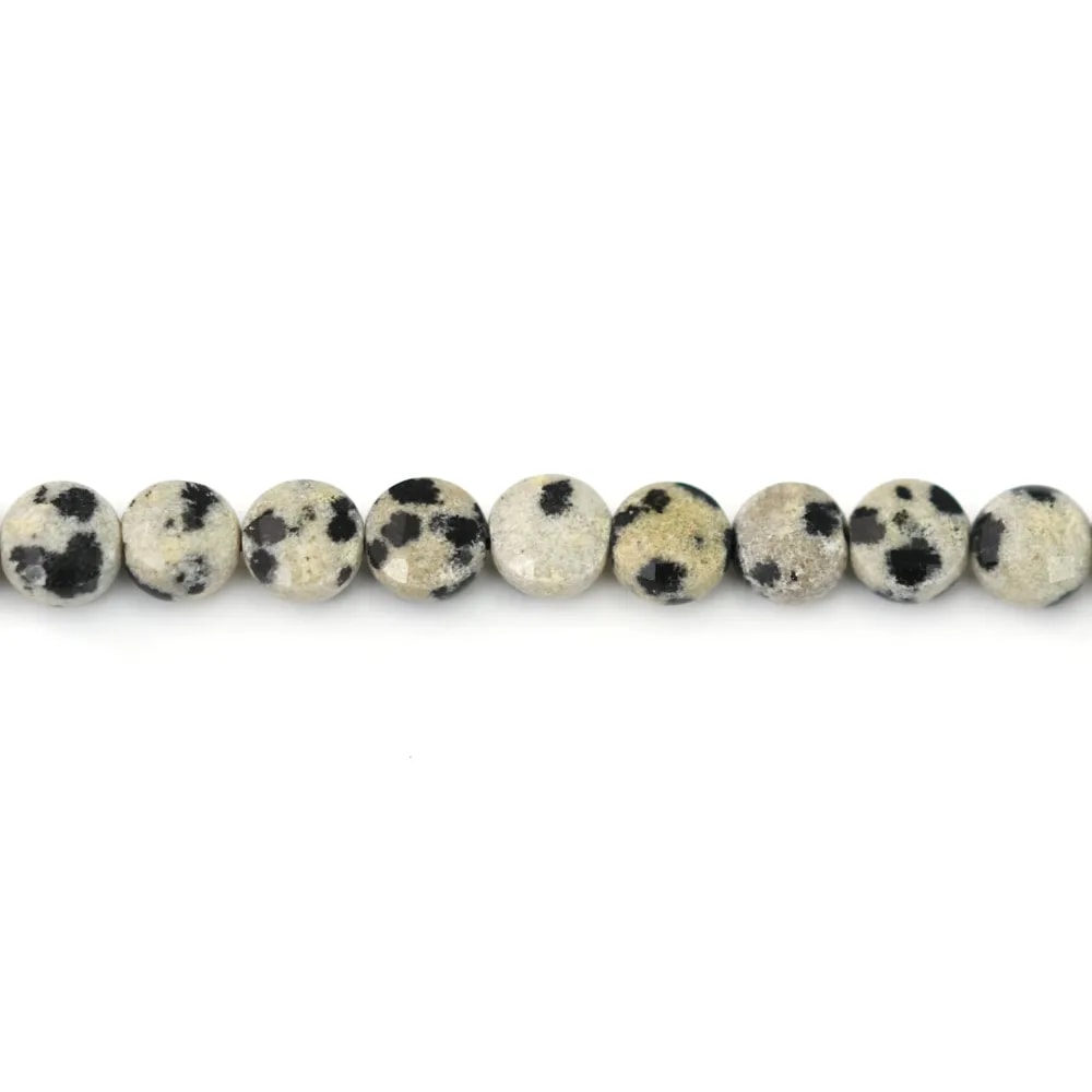 Dalmatian Jasper round flat faceted 4mm x 6pcs