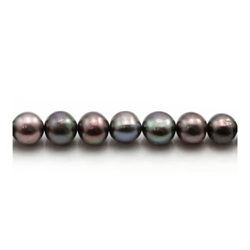 Perles de culture d'eau douce, bleue foncée, semi-ronde, 8-9mm x 1pc
