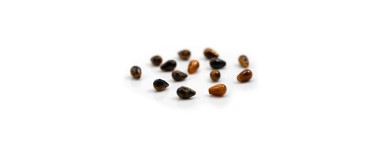 Perles gouttes en pierres naturelles pour la fabrication de bijoux