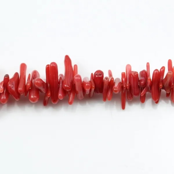 Bambou mer teinte rouge Baroque 16mm x 40cm