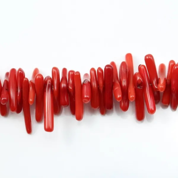 Bambou mer teinte rouge Baroque 20mm x 40cm